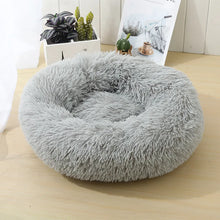 Charger l&#39;image dans la galerie, Coussin-chien-gris-lavable
