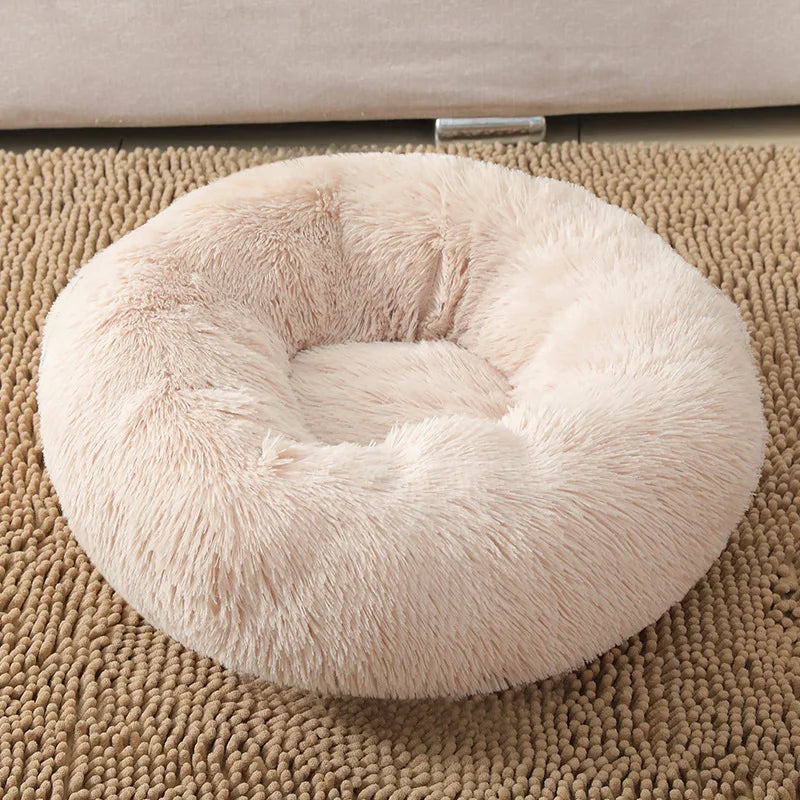 Coussin-pour-chien-abricot