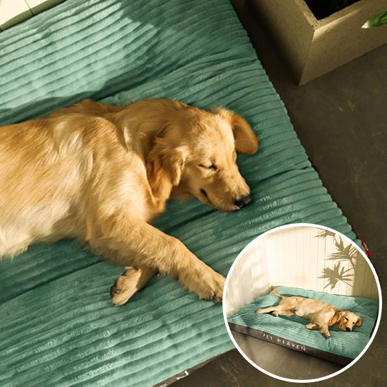 Coussin-pour-chien-confortable