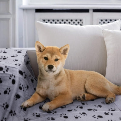 Couverture-pour-chien-pour-vos-meubles