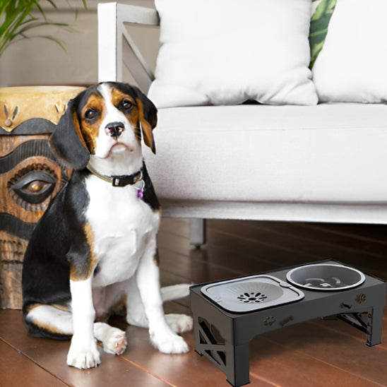 Gamelle-Anti-Glouton-avec-Bol-Anti-Debordement