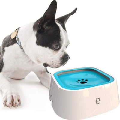 Gamelle-anti-éclaboussures-bleu