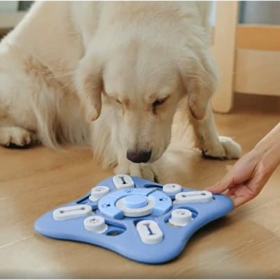 Gamelle-anti-glouton-pour-jouer