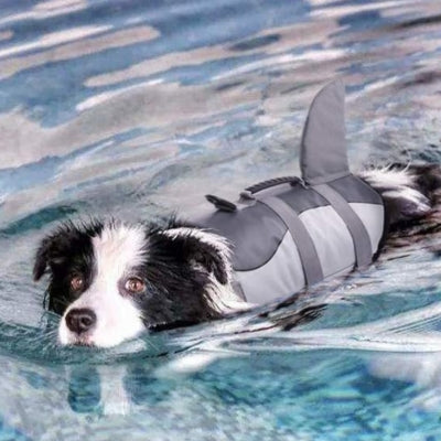 Gilet-de-sauvetage-petit-chien