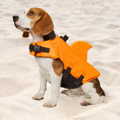 Gilet-de-sauvetage-pour-chien-orange-et-durable