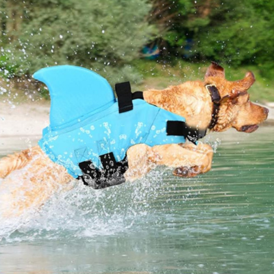Gilet-de-sauvetage-pour-chien-prevention