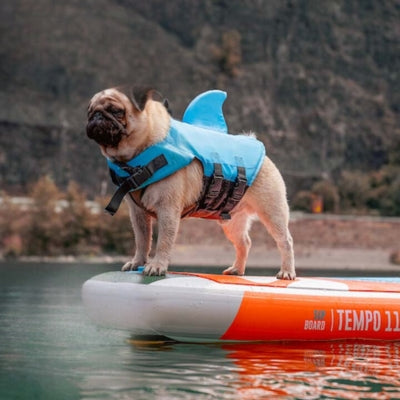 Gilet-de-sauvetage-pour-chien-securite-avant-tout