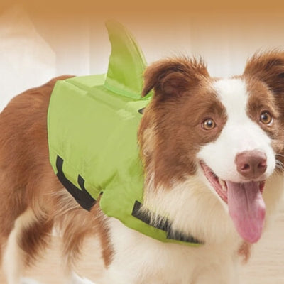 Gilet-de-sauvetage-pour-chien-vert-et-durable