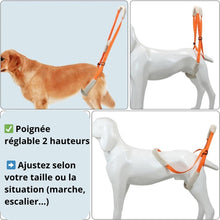 Charger l&#39;image dans la galerie, Harnais-de-levage-poignee-reglable
