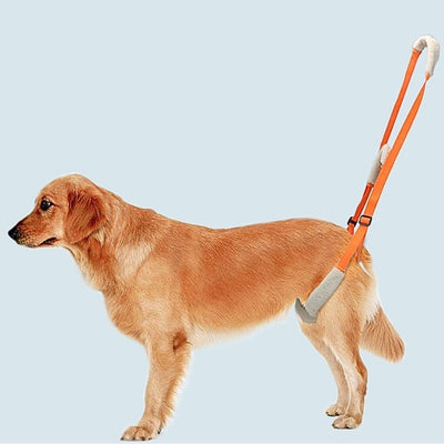 Harnais-de-levage-rapide-et-confortable