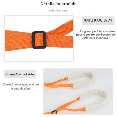 Harnais-de-levage-specifications