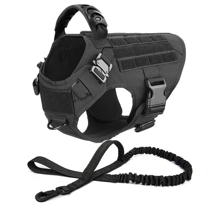 Harnais-pour-chien-avec-laisse-noir