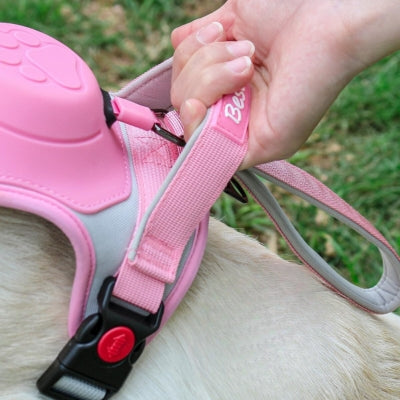Harnais pour chien avec laisse intégrée | Harlaisse
