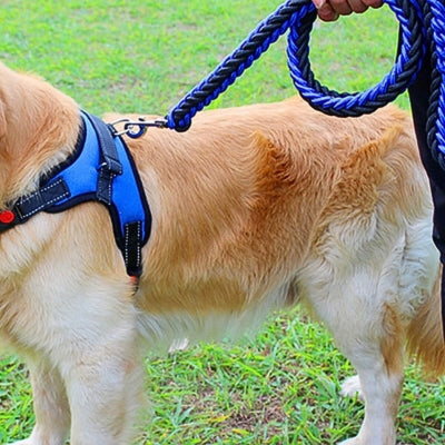 Harnais-pour-chien-k2Alpha-bleu