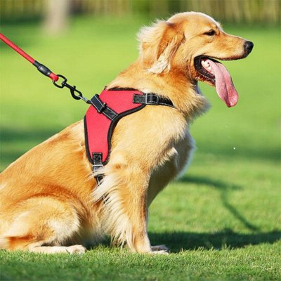 Harnais-pour-chien-k2Alpha-rouge