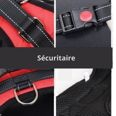 Harnais-pour-chien-k2Alpha-taille-Securitaire
