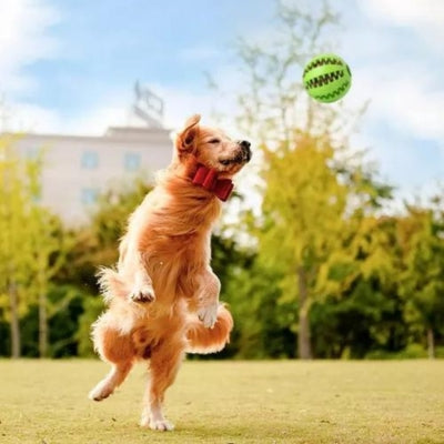 Jouet-pour-chien-Boulding-recreatif