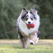 Charger l&#39;image dans la galerie, Jouet-pour-chien-Kong-exercise-physique
