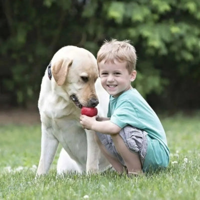 Jouet-pour-chien-Kong-favorise-la-confiance