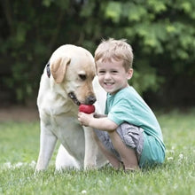 Charger l&#39;image dans la galerie, Jouet-pour-chien-Kong-favorise-la-confiance
