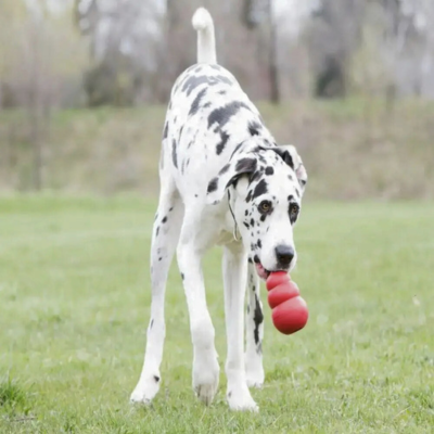 Jouet-pour-chien-Kong-stimulant