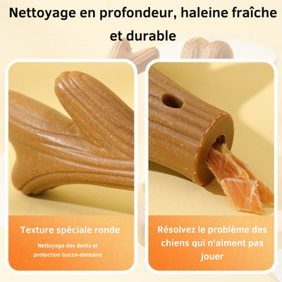 Jouet-pour-chien-anti-tartre