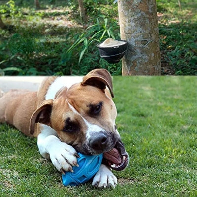 Jouet-pour-chien-ballon-bleu