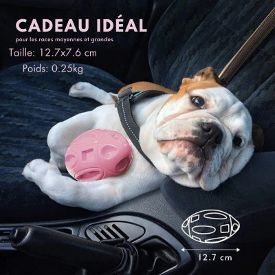 Jouet-pour-chien-ballon-interactif