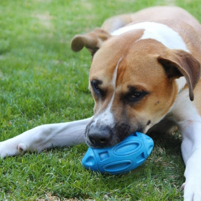Jouet-pour-chien-caoutchouc-naturel