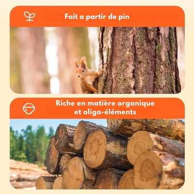 Jouet-pour-chien-ecologique