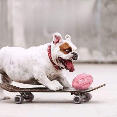 Jouet-pour-chien-son-RugbyDog-durable