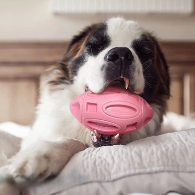 Jouet pour chien - RugbyDog