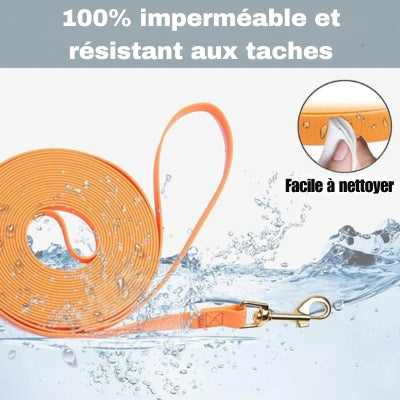 Laisse-chien-impermeable