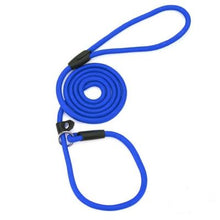 Charger l&#39;image dans la galerie, Laisse-pour-chien-éducative-bleu
