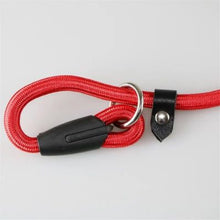 Charger l&#39;image dans la galerie, Laisse-pour-chien-noeud-coulissant
