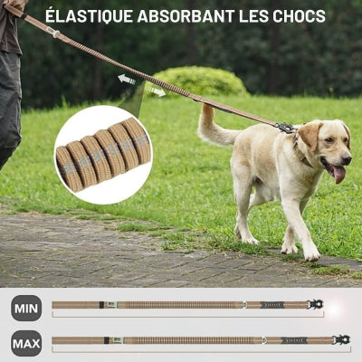Laisse-pour-chien-qui-absorbe-les-chocs