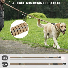 Charger l&#39;image dans la galerie, Laisse-pour-chien-qui-absorbe-les-chocs
