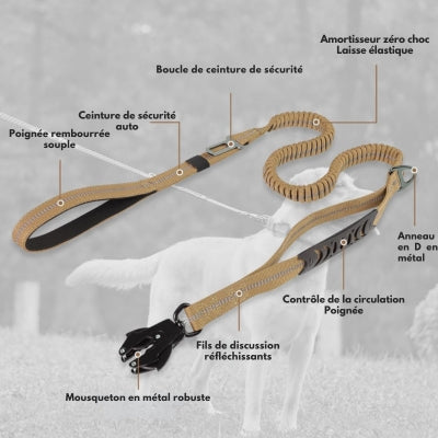 Laisse-pour-chien-robuste-et-durable