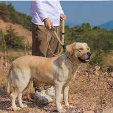 Charger l&#39;image dans la galerie, Laisse-pour-chien-securitaire
