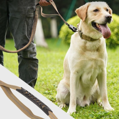 Laisse-pour-chien-solide-Kaki