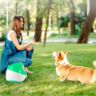 Lanceur-de-balle-pour-chien-vert