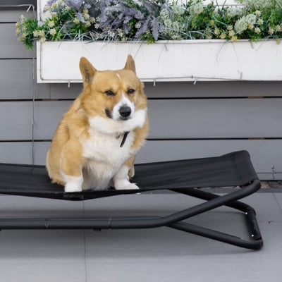Lit-de-camp-pour-chien-confortable-extérieur