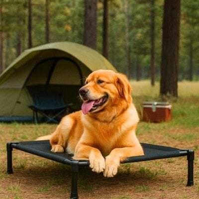 Lit pour chien surélevé - TransatPup