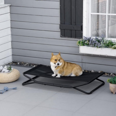 Lit-de-camp-pour-chien-transportable