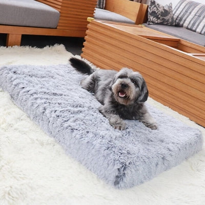 Lit-pour-chien-Confort-orthopédique-pour-vieux-chiens