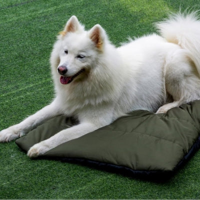 Lit-pour-chien-camping