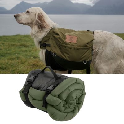 Lit-pour-chien-en-camping