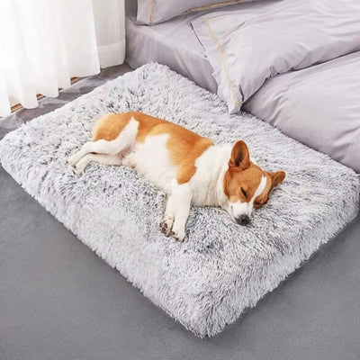 Lit-pour-chien-surface-douce-confortable