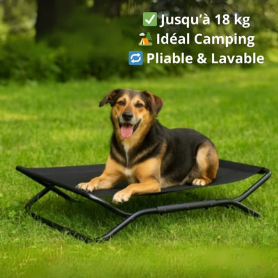 Lit de Camp pour Chien – Confort et Hygiène en Voyage