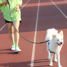 Charger l&#39;image dans la galerie,  Laisse-pour-chien-sportif-noir
